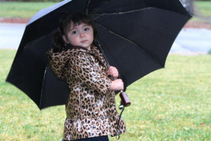 syd-rain-2