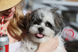 PUPPY-LOVE-COKE